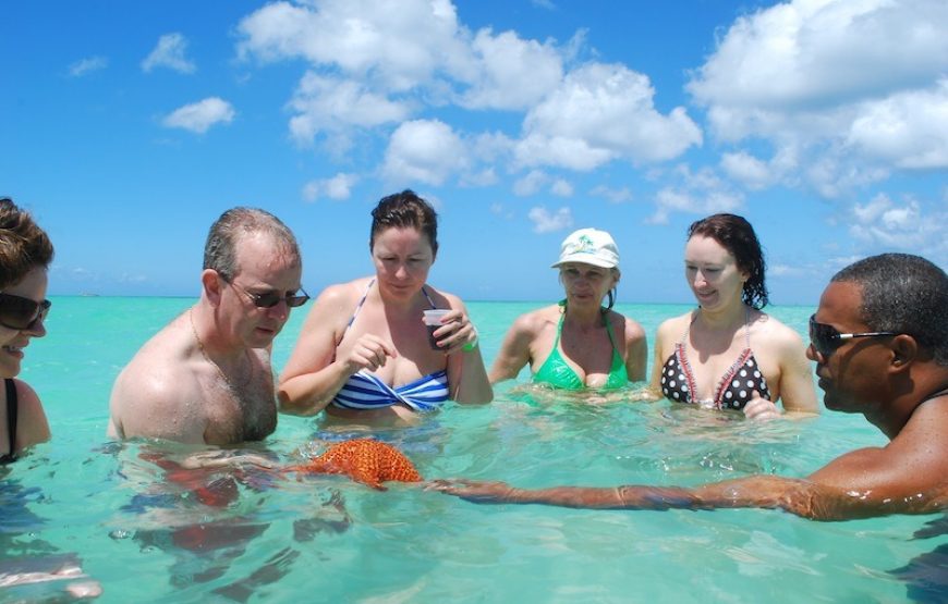 Bayahibe: İsteğe Bağlı Istakoz Öğle Yemeği ile Saona Adası Günü Gezisi